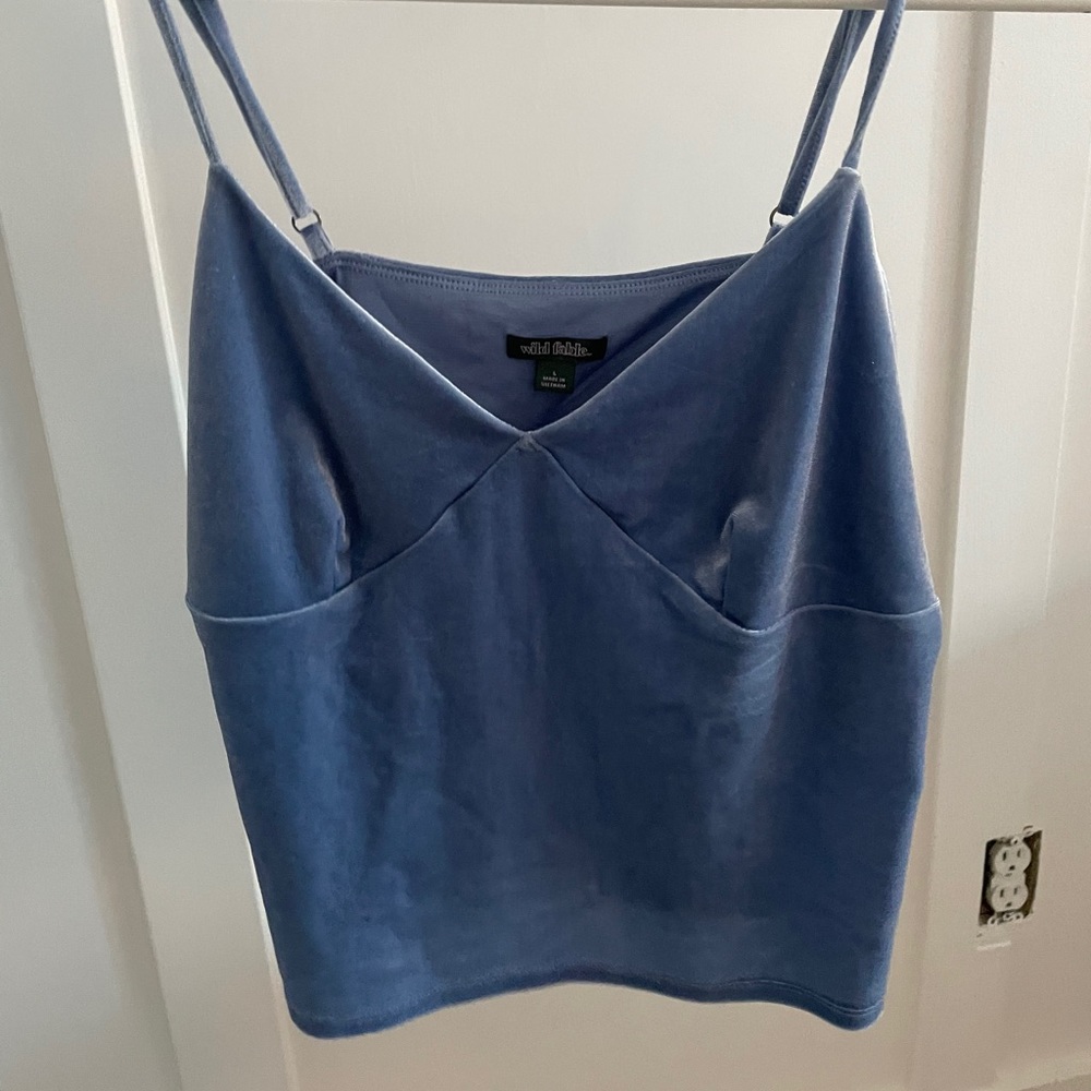 Blue velvet tank top in great condition